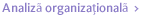 analiza organizationala
